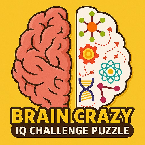 Brain Crazy - IQ Challenge Puzzle