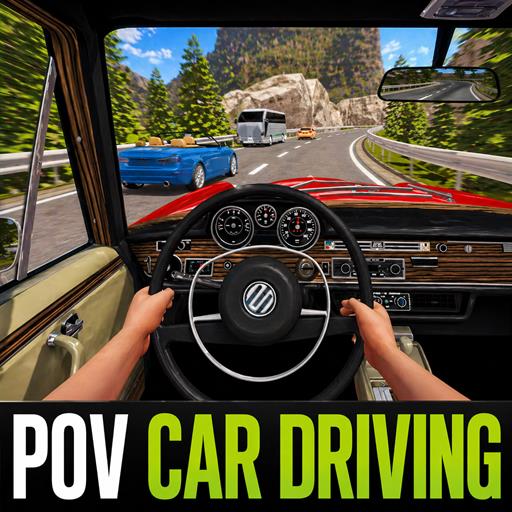 POV Car Driving